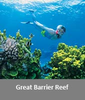images/Great_Barrier_Reef-.jpg