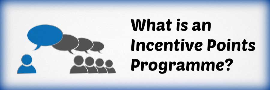 what is an incentive points programme